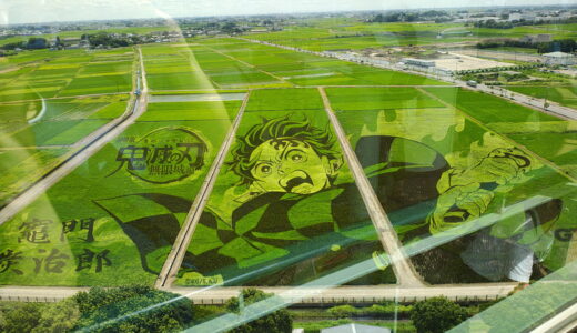 古代蓮の里と川口オート